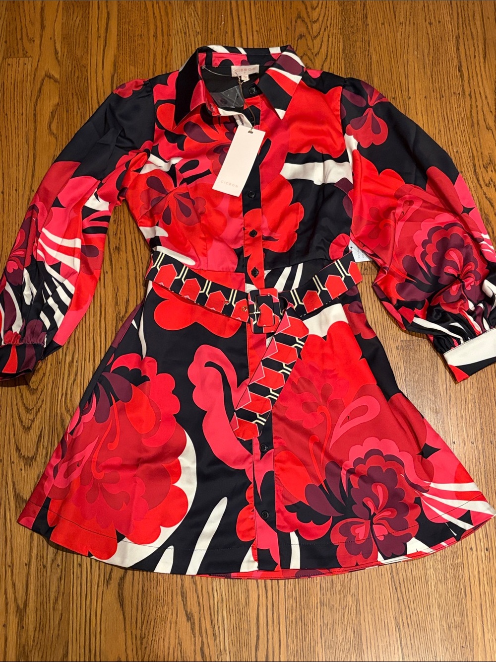Ciebon Dress